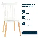 8.webp
